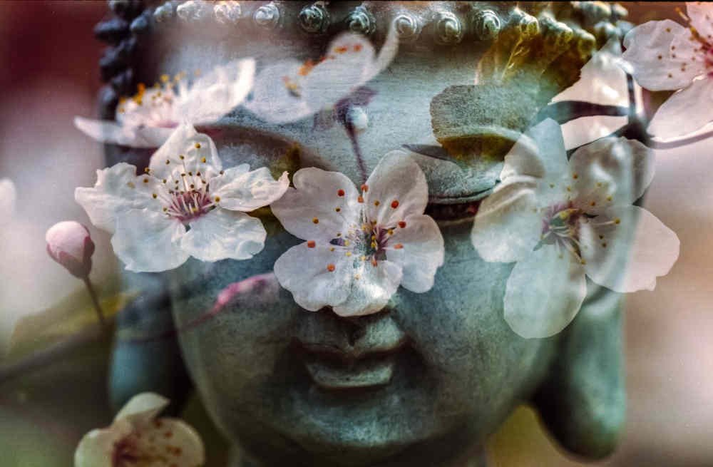 budda and flowers